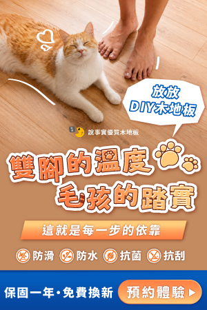 廣告